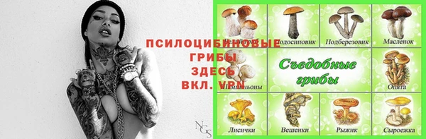 ешки Новокубанск