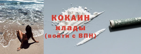 PSILOCYBIN Горняк