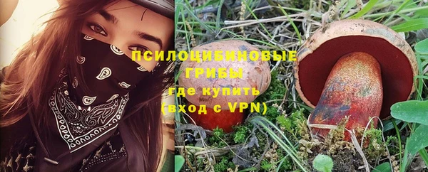 прущие крисы Горнозаводск
