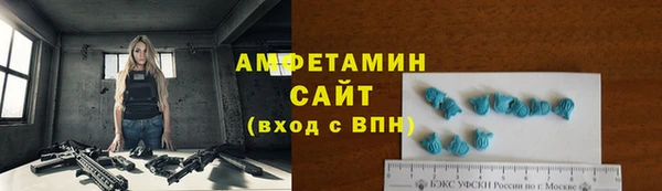 PSILOCYBIN Горняк