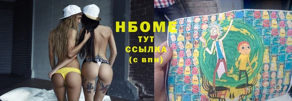 PSILOCYBIN Горняк