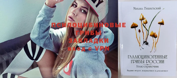 сатива Нягань