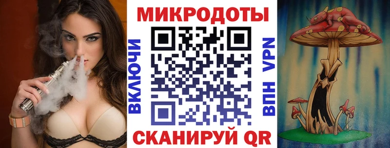 Псилоцибиновые грибы Cubensis  закладка  Пущино 